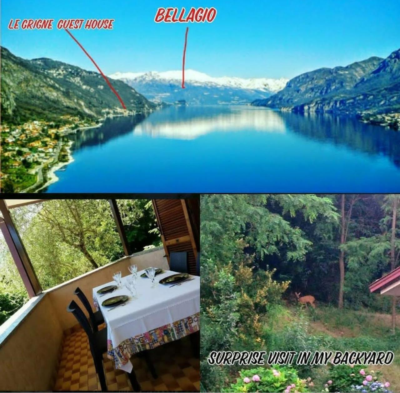 Le Grigne Guest House Oliveto Lario Εξωτερικό φωτογραφία